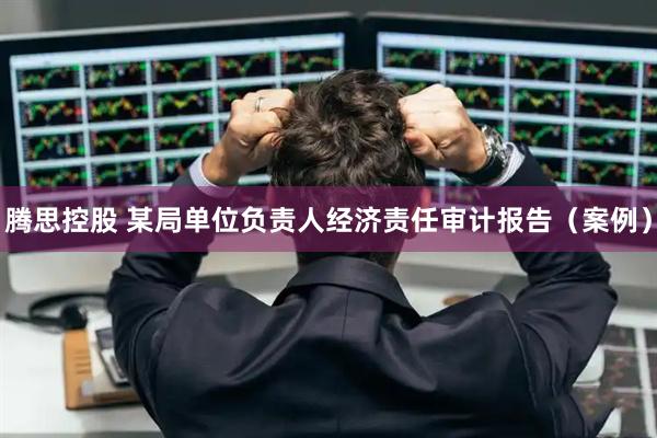 腾思控股 某局单位负责人经济责任审计报告（案例）