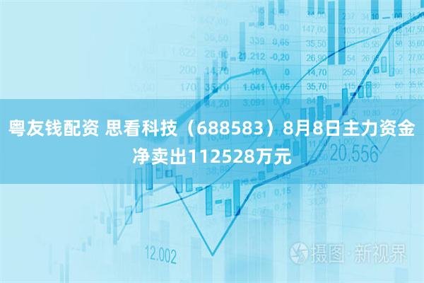 粤友钱配资 思看科技（688583）8月8日主力资金净卖出112528万元