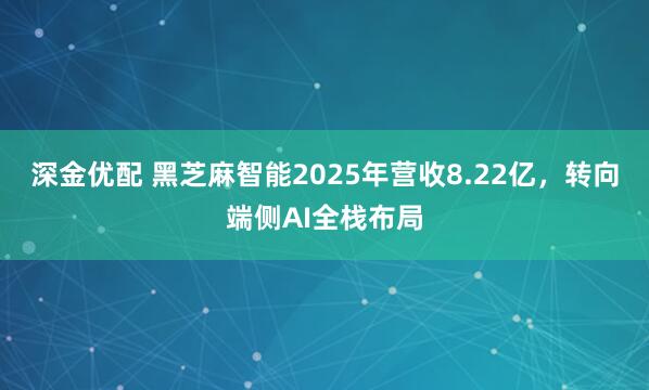 深金优配 黑芝麻智能2025年营收8.22亿，转向端侧AI全栈布局