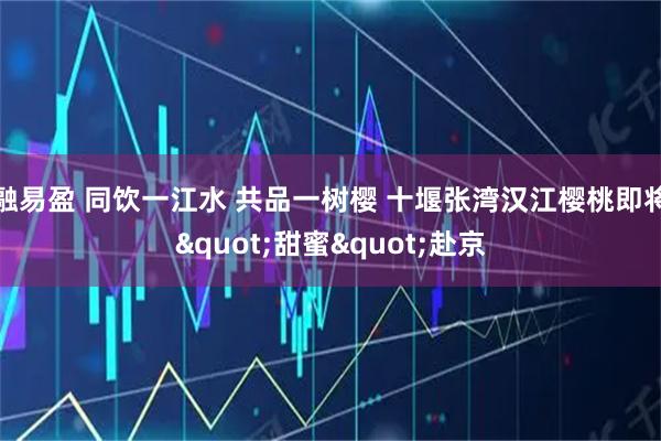 融易盈 同饮一江水 共品一树樱 十堰张湾汉江樱桃即将"甜蜜"赴京