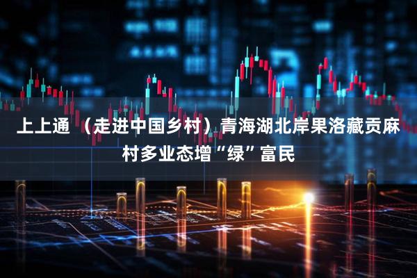 上上通 （走进中国乡村）青海湖北岸果洛藏贡麻村多业态增“绿”富民