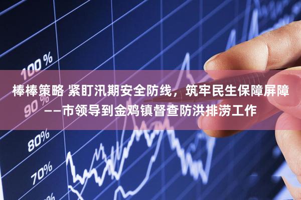 棒棒策略 紧盯汛期安全防线,筑牢民生保障屏障——市领导到金鸡镇督查防洪排涝工作
