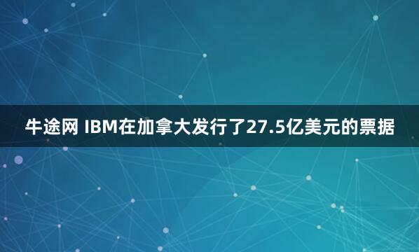 牛途网 IBM在加拿大发行了27.5亿美元的票据